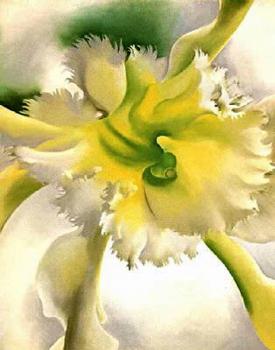 喬治亞 奧基夫 Yellow Orchid